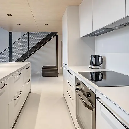 Loft In City Center Apartment Wilna